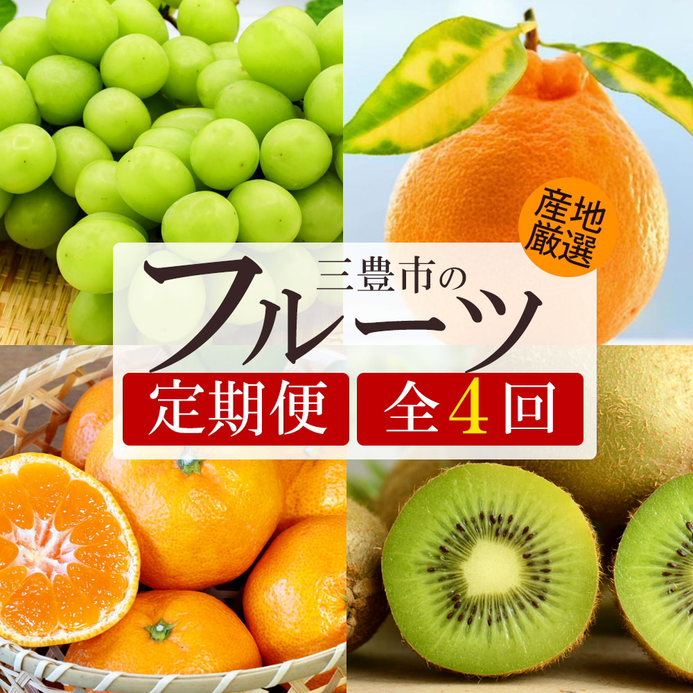 yӂ邳Ɣ[Łz t[c  4 VC}XJbg {̃t[c2 [ }XJbg k ʕ ʎ fU[g XC[c  40000 30  ԗi lC }~BMtg ]yzsn