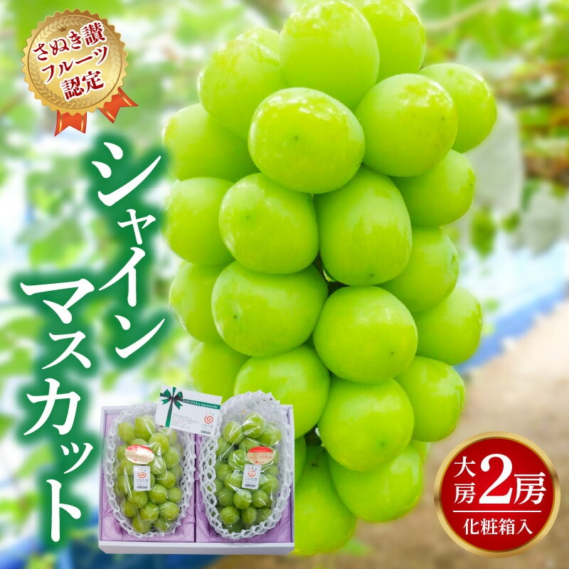 【ふるさと納税】 締め切り間近 【さぬき讃フルーツ認定】シャインマスカット 大房2房(化粧箱入り)シャインマスカット 大粒 贈答用 ギフト お取り寄せ 国産 旬 新鮮 産地直送 高級 ぶど