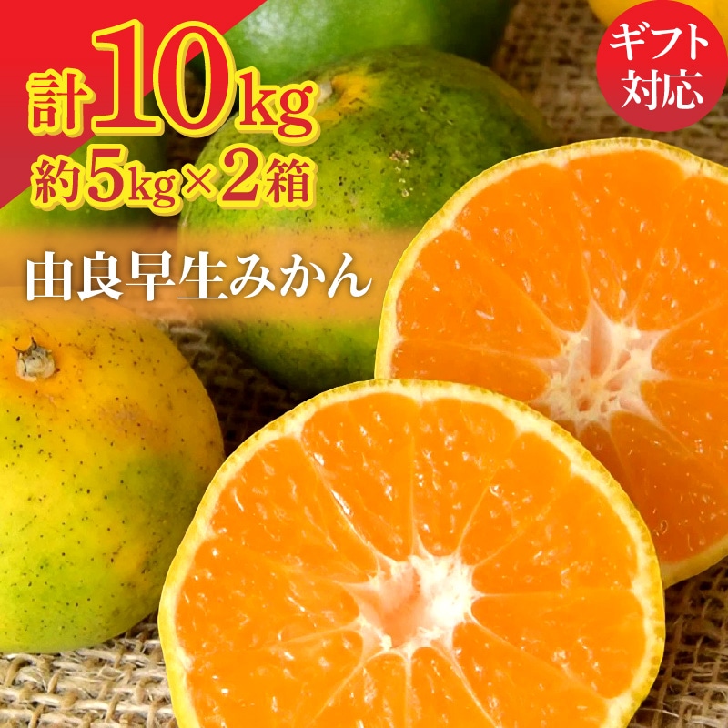【ふるさと納税】由良早生みかん 5kg×2箱【ギフト可】  秋 旬香川県三豊市25000果物・フルーツ