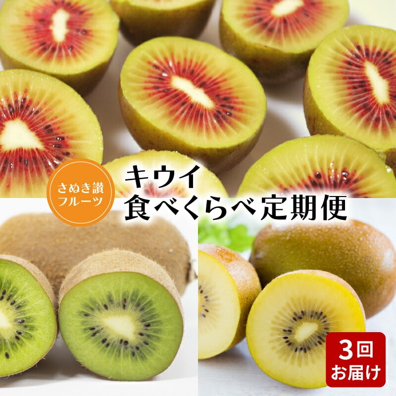 【ふるさと納税】【配送不可地域:北海道・沖縄県・離島】【さぬき讃フルーツ】キウイ食べくらべ定期便(3回)  秋 旬香川県三豊市37000果物・フルーツ