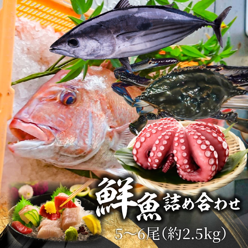 【ふるさと納税】【配送不可地域:北海道・東北・沖縄県・離島】鮮魚詰め合わせ 5〜6尾(約2.5kg)  株式会社瀬戸水産香川県三豊市21000魚介・海産物