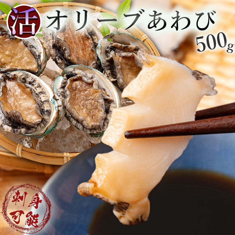 【ふるさと納税】【6回定期便】【配送不可地域:北海道・東北・沖縄県・離島】オリーブアワビ約500g(5個入り前後)×6回定期便 殻付き 鮑 特産品  おすすめ お取り寄せ お取り寄せグルメ