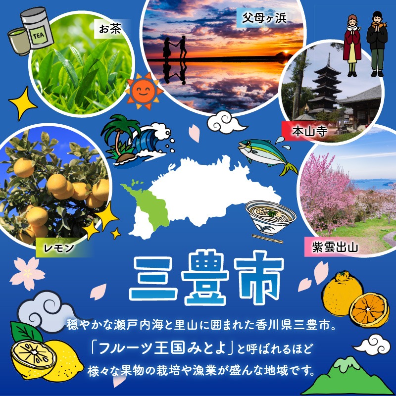 【ふるさと納税】 緑茶 ティーバッグ 緑茶ティーバッグ(3g×10袋) 高瀬茶 香川県産 国産 日本茶 煎茶 水出し緑茶 冷茶 お取り寄せ グルメ 美味しい 人気 おすすめ ギフト 贈答用 プレゼント