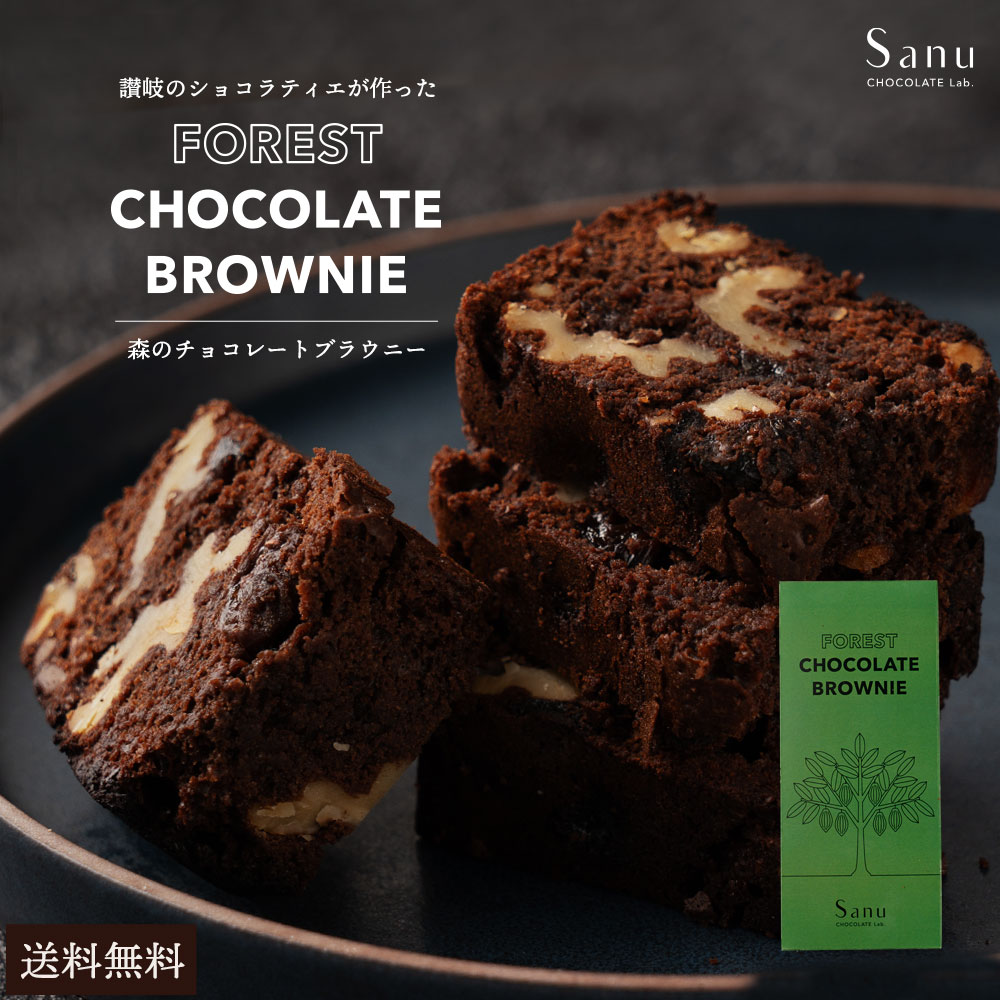 【ふるさと納税】Sanu 森のチョコレートブラウニー香川県三豊市12000菓子・スイーツ