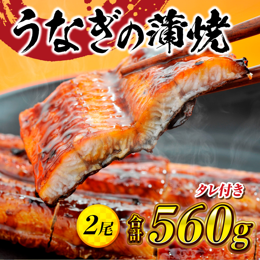 うなぎの蒲焼2尾 タレ付き(1本) YZ001福岡県篠栗町13000魚介・海産物