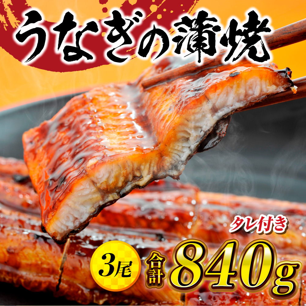 うなぎの蒲焼3尾 タレ付き(2本) YZ002福岡県篠栗町16000魚介・海産物