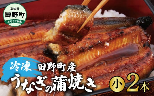 【四国一小さなまち】 田野町産うなぎの蒲焼き(小)2本 タレ付き 山椒付き うなぎ 鰻 ウナギ 蒲焼き かば焼き 無頭 おいしい 国産 お取り寄せ 冷凍 配送高知県田野町12000魚介・海産物うな
