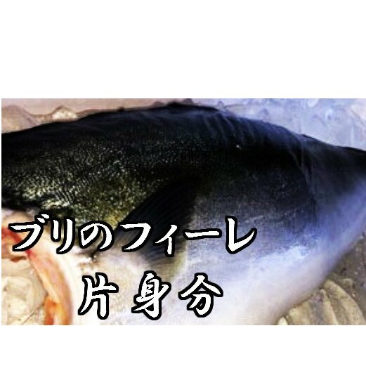 ブリのフィーレ片身分高知県田野町20000魚介・海産物鮮魚