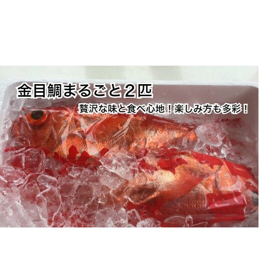 【四国一小さなまち】 ≪土佐沖獲れ≫ 高級魚『金目鯛』まるごと2匹(冷蔵)高知県田野町14000魚介・海産物その他 魚介・海産物