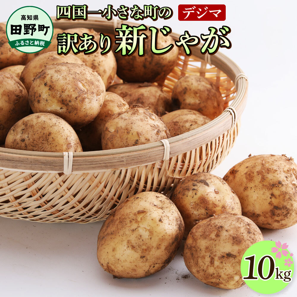 ★先行受付:2025年5月発送開始★大野台地で採れた 令和7年産新じゃがいも『デジマ』10kg 訳あり品 10キロ イモ ジャガイモ 芋 いも ポテト 野菜 おいしい 旬 国産 お取り寄せ 高知県田野町1050
