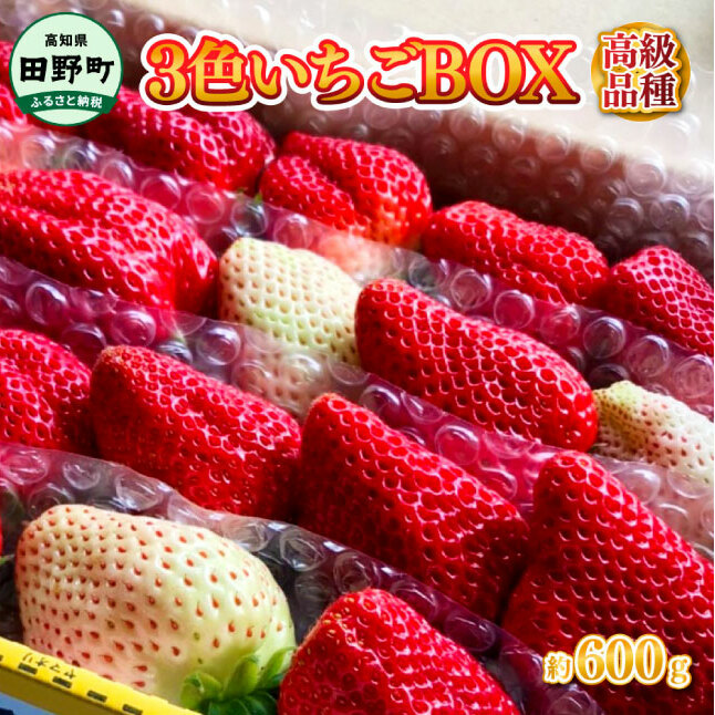 ≪農園直送≫ 高級品種3色いちごBOX 計600g程度 いちご イチゴ 苺 果物 フルーツ 詰め合わせ 高級 品種 海惚れいちご 天使のイチゴ 真紅の美鈴 常温 冷蔵 配送高知県田野町14000果物・フルーツ