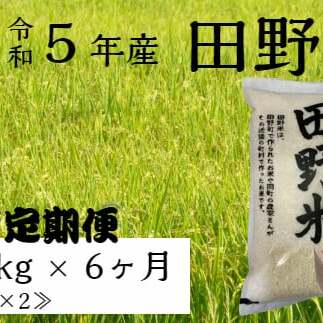 ≪先行受付中:定期便6ヵ月(10月〜3月)≫  ★ 令和5年産 新米 ★【四国一小さなまち】 田野米 10kg (5kg×2袋)× 6回 〜 精米 ・ 白米 〜 高知県田野町44000米・パン白米