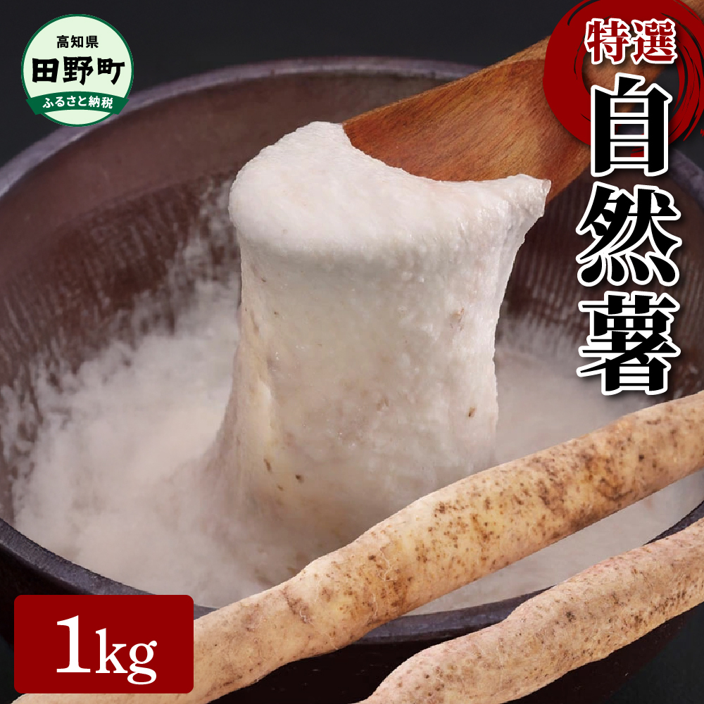 【四国一小さなまちの自然薯】★2024年12月中旬発送開始★ 田野町特選 『 令和6年産 自然薯 』 約1kg高知県田野町12000野菜・きのこその他 野菜