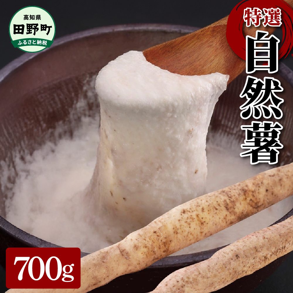 【四国一小さなまちの自然薯】★2024年12月中旬発送開始★ 田野町特選 『 令和6年産  自然薯 』 約700g高知県田野町10000野菜・きのこその他 野菜