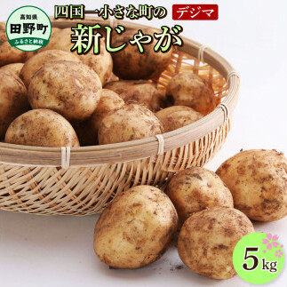 stF2025N5Jnnō̂ꂽ ߘa7NYVႪwfW}x5kg 5L C WKC   |eg   ӂ { Y  mc쒬7500