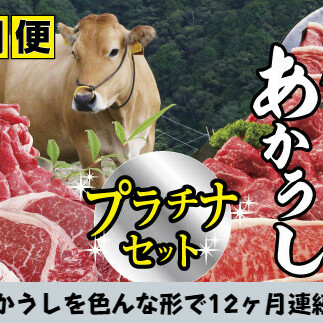 【四国一小さなまち】〜2024年1月発送開始〜『土佐あかうし』食べつくし!プラチナセット【A】★12ヶ月定期便★高知県田野町400000肉牛肉