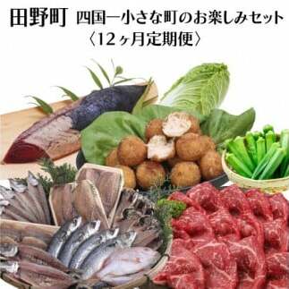【四国一小さなまち】≪2025年1月発送開始≫★定期便 12ヶ月★〜田野町お楽しみセット12回コース『A』〜高知県田野町114500魚介・海産物
