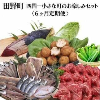 【四国一小さなまち】≪2025年1月発送開始≫★定期便 6ヶ月(1月〜6月)★〜田野町お楽しみセット6回コース『A』〜高知県田野町57000魚介・海産物