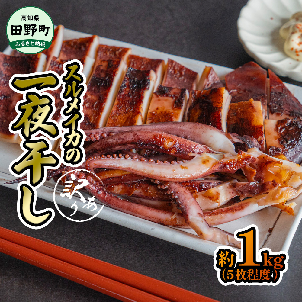 ★訳あり★スルメイカの一日干し 約1kg 5枚程度 冷凍 一日干し 干物 加工食品 肉厚 海鮮 うまみ おつまみ 酒のお供 冷凍 1枚約200g 産地直送 冷凍配送 焼くだけ 簡単 国産 お取り寄せグルメ 高