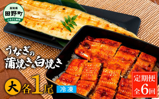 田野町産うなぎの蒲焼き(大)+うなぎの白焼き(大) 各1尾×6回 定期便 6ヶ月 定期コース 1尾あたり120〜150g タレ付き 山椒付き うなぎ 鰻 ウナギ 蒲焼き かば焼き 白焼 国産 冷凍 配送高知県田野