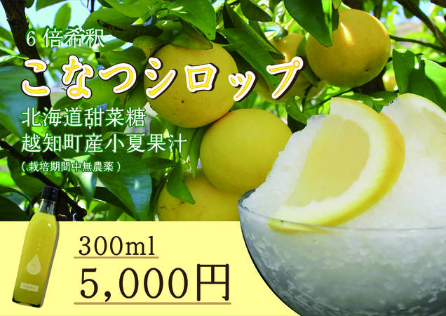 小夏シロップ(300ml)高知県越知町5000お茶・飲料