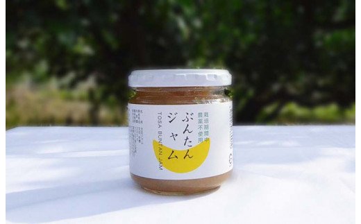 文旦ジャム 6個セット高知県越知町13000鍋セット・総菜・加工食品ジャム・はちみつ