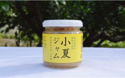 小夏ジャム 6個セット高知県越知町13000鍋セット・総菜・加工食品ジャム・はちみつ
