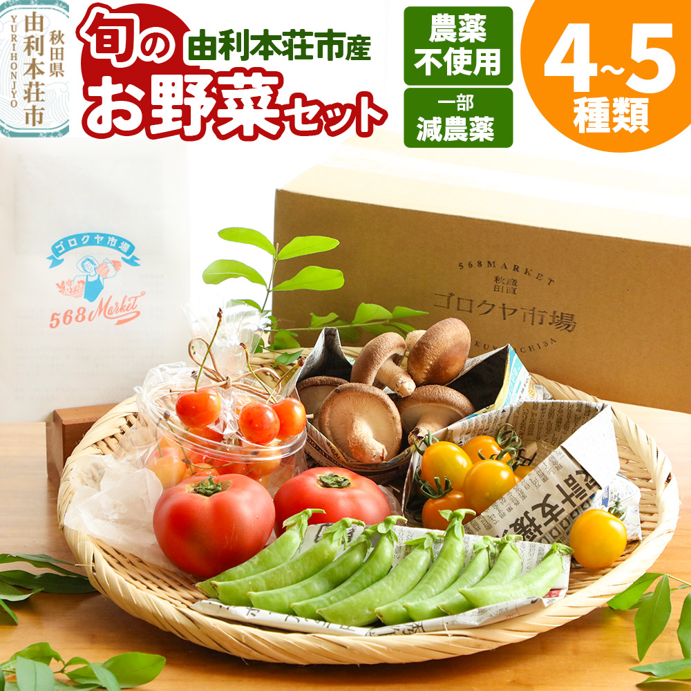 旬のお野菜セット 秋田県 由利本荘市産 栽培期間中農薬不使用 減農薬秋田県由利本荘市12000野菜・きのこその他 野菜