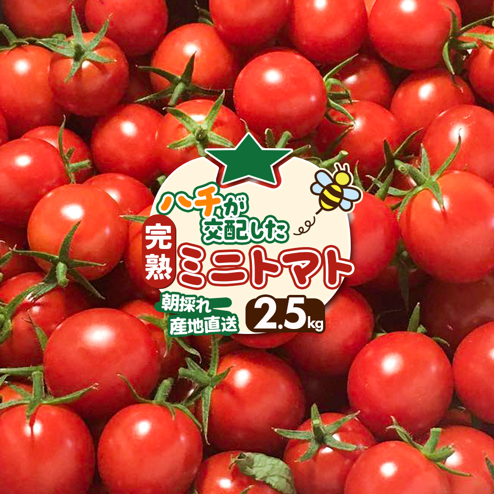 ~jg}g 2.5kg  Hc R{sHcR{s13000؁Êg}g