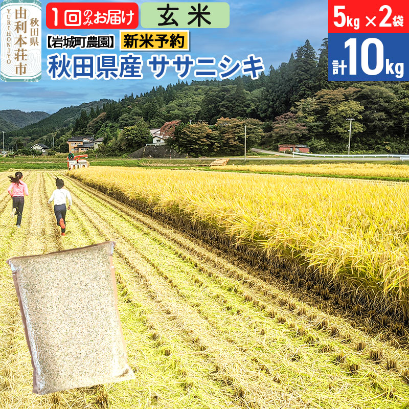 《令和7年産 新米予約》【玄米】ササニシキ 10kg(5kg×2袋) 秋田県 由利本荘市産 令和7年産 真空パック 岩城町農園秋田県由利本荘市28000米・パン玄米・雑穀米・もち米・餅