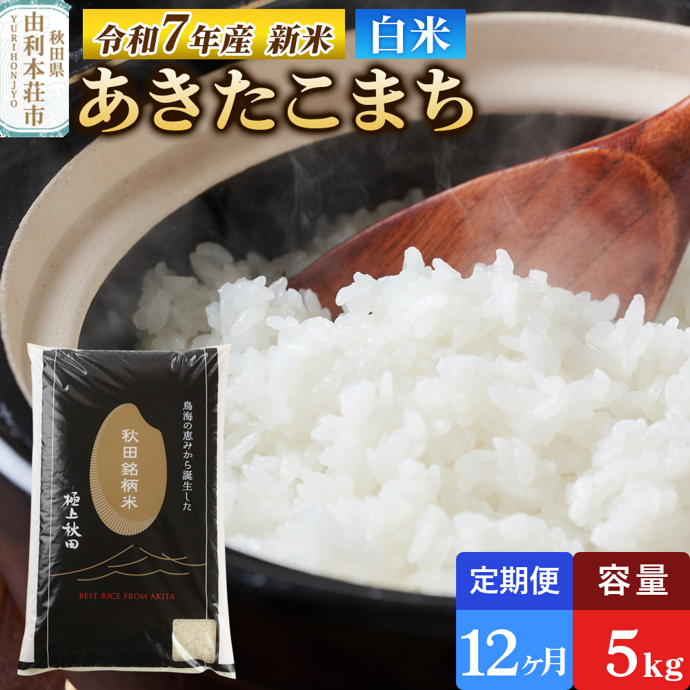 《定期便12ヶ月》令和7年産 【白米】極上秋田銘柄米 あきたこまち 5kg 【2025年10月下旬出荷予定】秋田県由利本荘市228000米・パン白米
