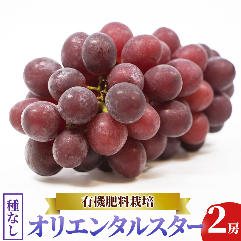 Vʎ IG^X^[ HcY 1kgHcR{s17000ʕEt[c}XJbgEԂǂ