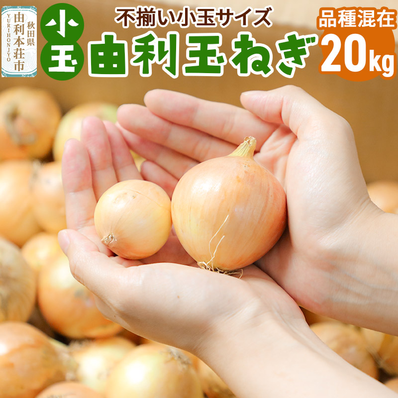 《予約受付》由利本荘市産 由利玉ねぎ(小玉)20kg【品種混在】秋田県由利本荘市9000野菜・きのこその他 野菜