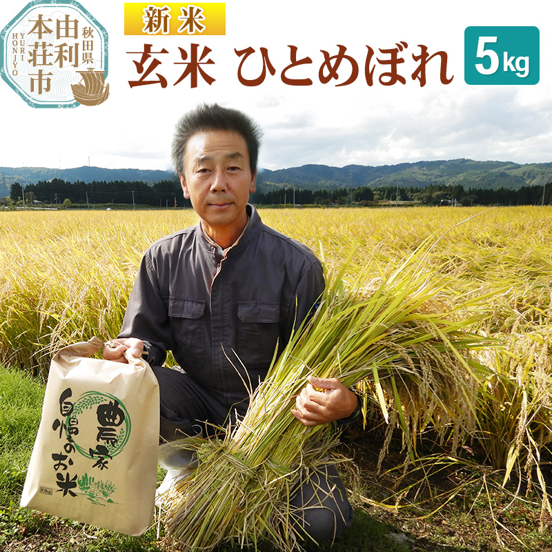 【玄米】 <通算5回 特A> ひとめぼれ   5kg 令和7年産 新米 農家直送 渡部さんのひとめぼれ秋田県由利本荘市14000米・パン玄米・雑穀米・もち米・餅