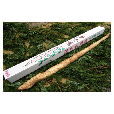 쑺Y@悩펩R800(800g){܂y1326822z_ސ쌧쑺11000؁Ê卪EjWEؗ