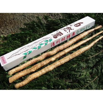 쑺Y@悩펩R1600(1.6kg){܂y1326824z_ސ쌧쑺21000؁Ê卪EjWEؗ