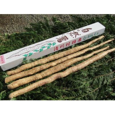 쑺Y@悩펩R2000(2kg){܂y1326825z_ސ쌧쑺26000؁Ê卪EjWEؗ