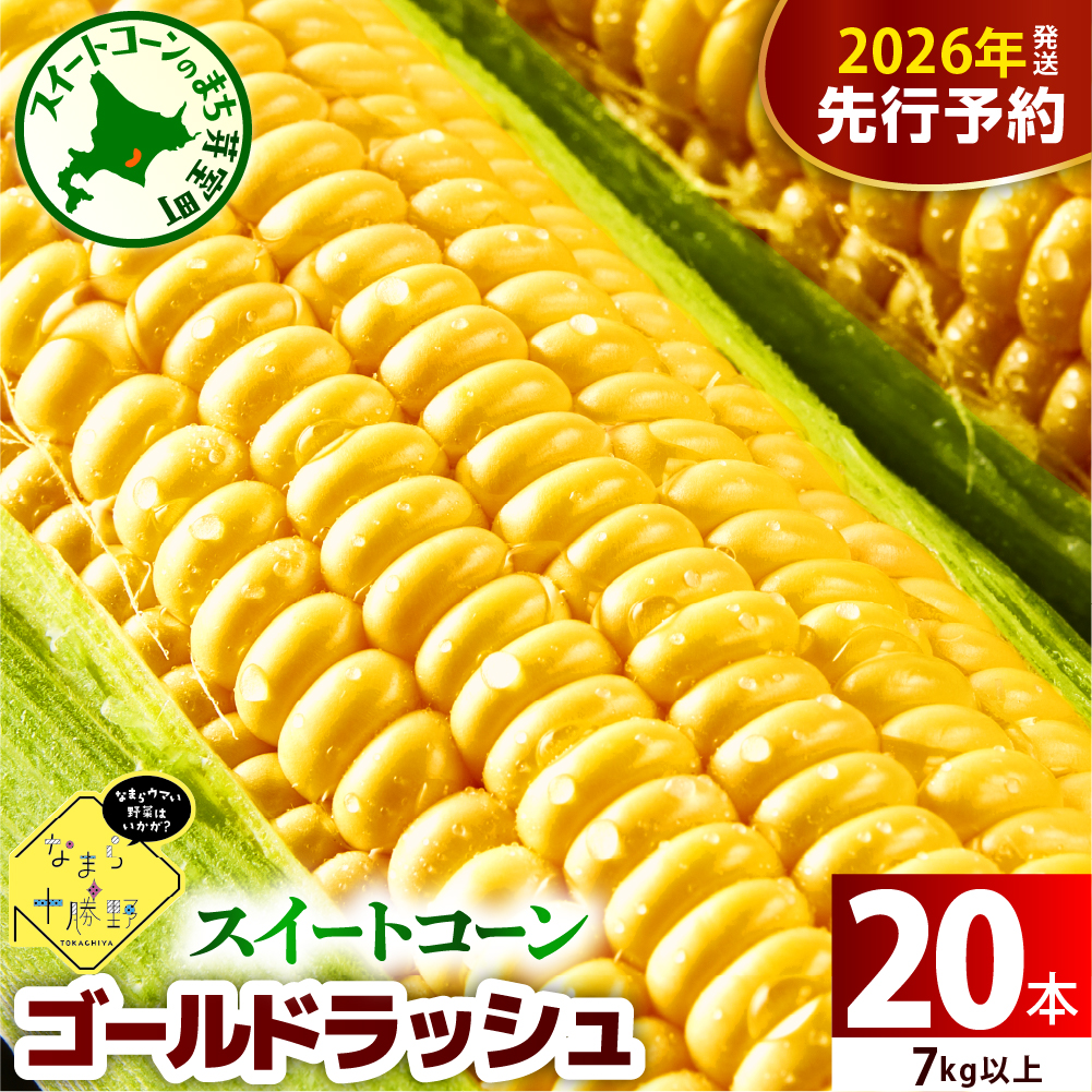 【先行受付】【2026年7月下旬〜8月15日頃配送】北海道十勝芽室町 スイートコーン ゴールドラッシュ 20本キャンプ飯 BBQ ソロキャン人気 トウモロコシ 生 野菜 北海道 十勝 芽室町  お取り寄せm