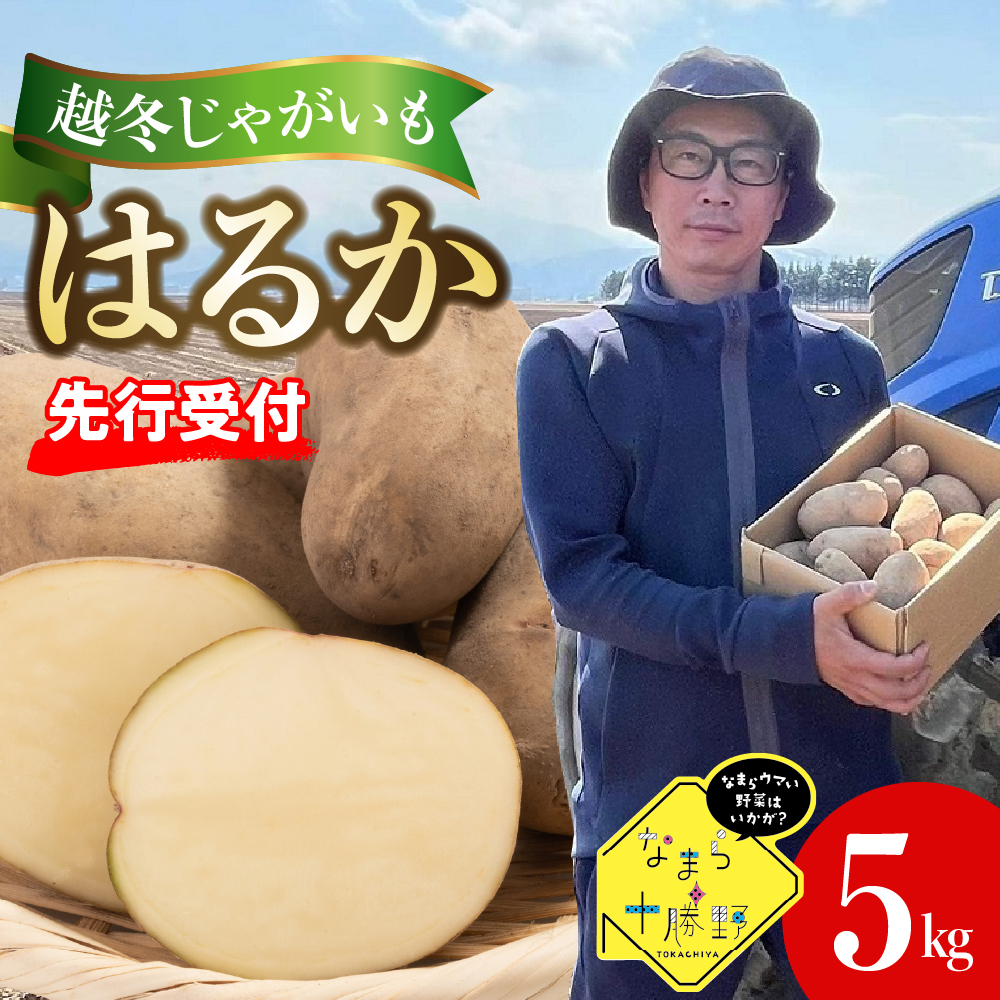 【先行受付】【2026年4月より順次発送】北海道十勝芽室町 なまら十勝野 越冬じゃがいも はるか 5kg me001-028c北海道芽室町9000野菜・きのこじゃがいも・イモ類