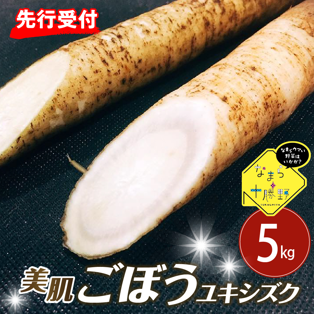 ystzy2026N5{菇zkC\莺 Ȃ܂\ 莺Y t@ڂyLVYNzL5kg me001-035ckC莺12000؁Ê卪EjWEؗ
