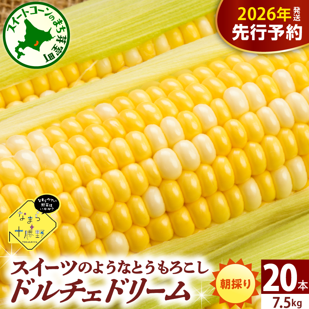 【先行受付】【2026年7月下旬〜8月15日頃配送】北海道十勝芽室町 なまら十勝野 ドルチェドリーム(20本)  キャンプ飯 BBQ ソロキャン 人気 とうもろこし コーン 生 甘い 大粒 大容量 野菜 北