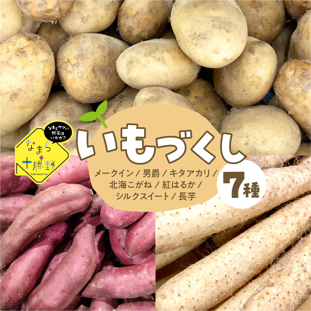 ystzy2025N12{菇zkC\莺@Ȃ܂\̂Â 7 v4kg me001-048ckC莺11000؁ÊႪEC