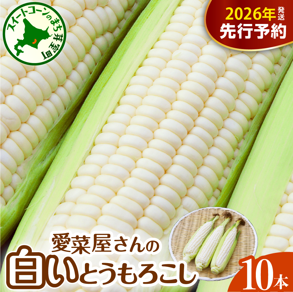 【先行受付】【2026年7月下旬〜8月中旬頃配送】北海道十勝芽室町 とうもろこし 10本 ホワイト種 me002-005c-26北海道芽室町9500野菜・きのことうもろこし