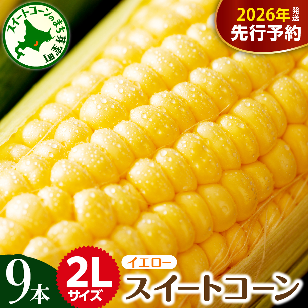 ystzy2026N7{`8{zzkC\莺 Ƃ낱 2L 9{ me002-021c-26kC莺9500؁ÊƂ낱