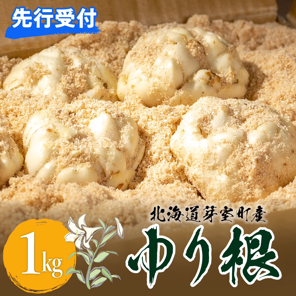 ystzy12{蔭zkC\莺  1kgiLTCY9ʓ1kgj me010-001c-24kC莺10000؁Ê卪EjWEؗ