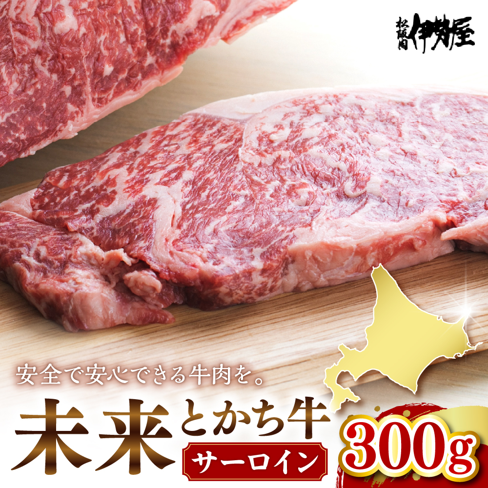 kC\莺 ƂT[C@300g@me073-001ckC莺14000