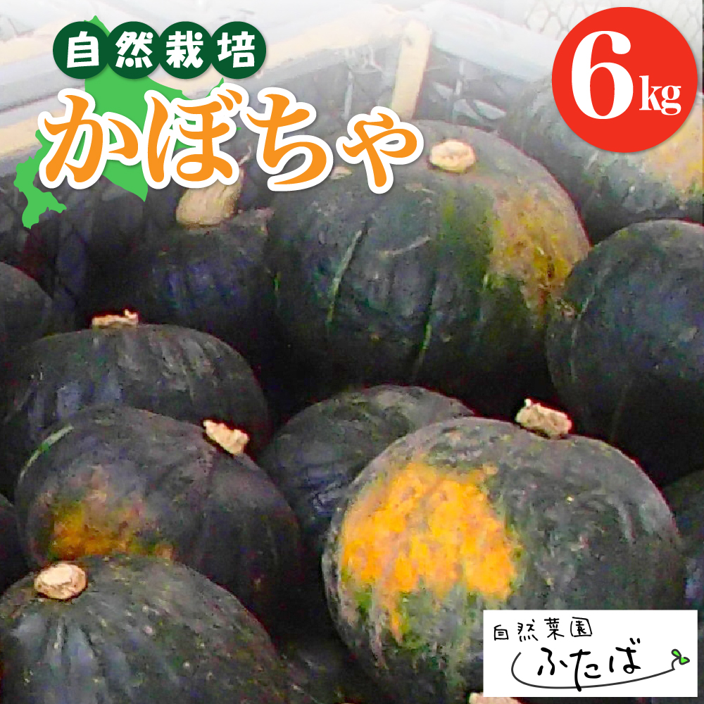 y10zJnzkC\莺@R؉ӂ΁@F̂ڂ6kg@me074-004ckC莺10000؁Ê̑ 