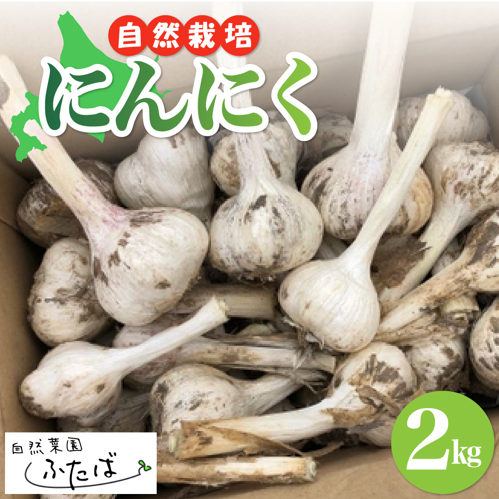 kC\莺@R؉ӂ΁@F̂ɂɂ@2kg@me074-006ckC莺20000؁Ê