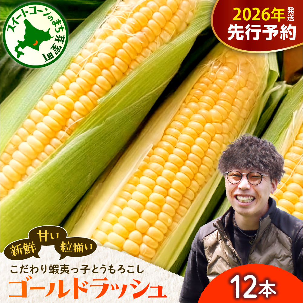 【先行受付】【2026年7月25日〜8月15日頃発送予定】朝採りをお届け! 北海道十勝芽室町 蝦夷っ子とうもろこし ゴールドラッシュ 12本 キャンプ飯 BBQ ソロキャン 人気 とうもろこし コーン