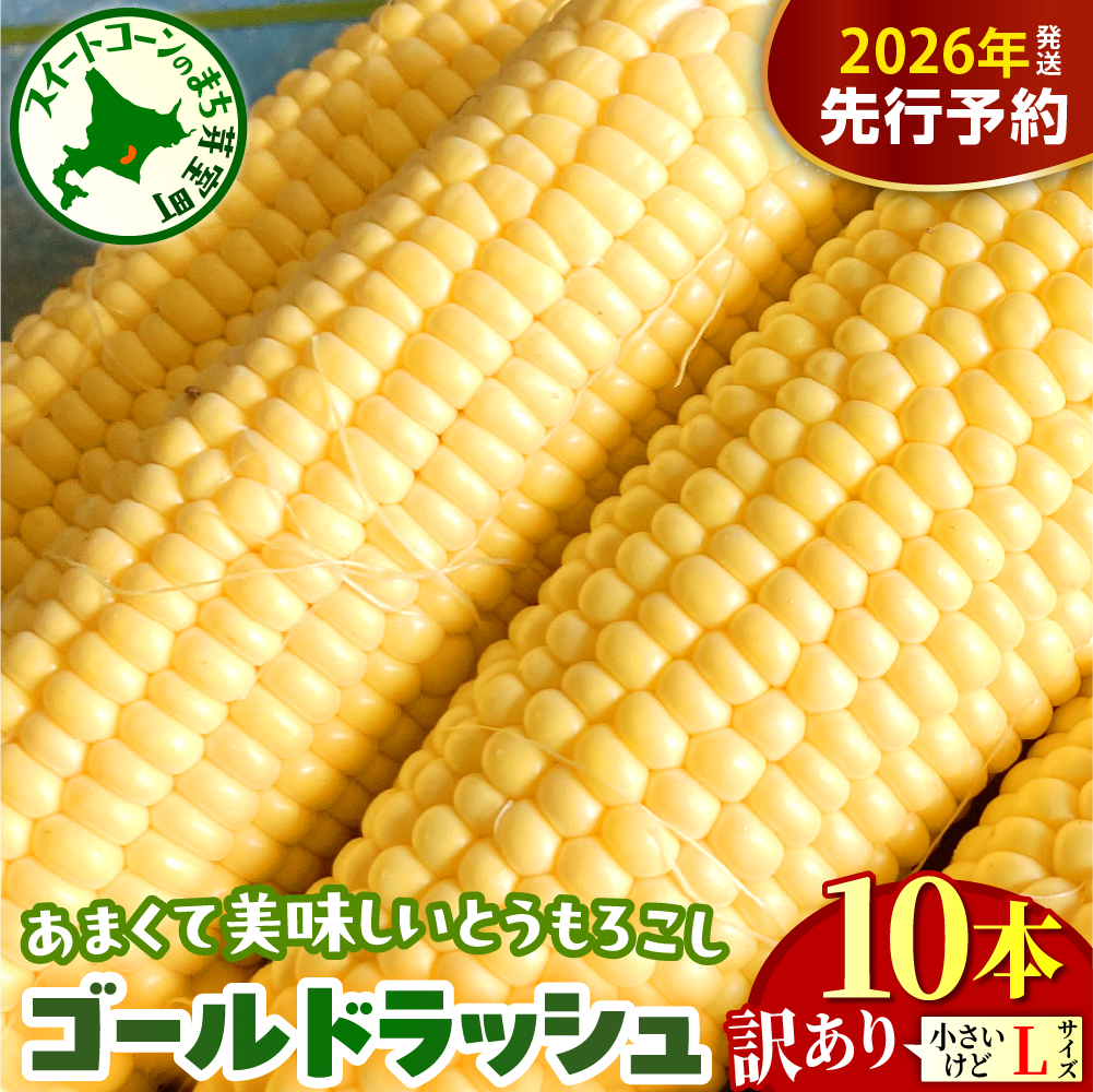 【先行受付】【2026年8月上旬〜8月下旬頃配送】【訳あり】北海道十勝芽室町 とうもろこし ゴールドラッシュ Lサイズ 10本セット me078-006c-26北海道芽室町8000野菜・きのことうもろこし
